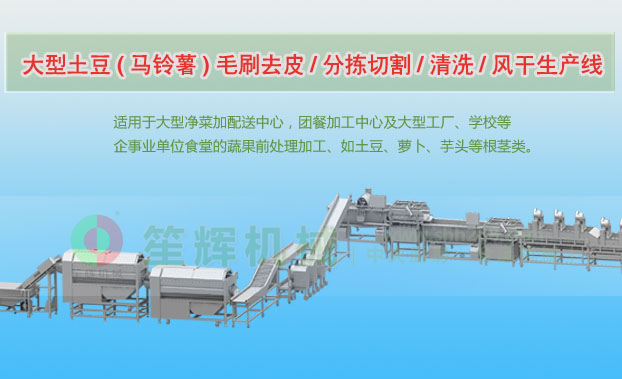 安国连续式土豆去皮清洗切割风干生产线